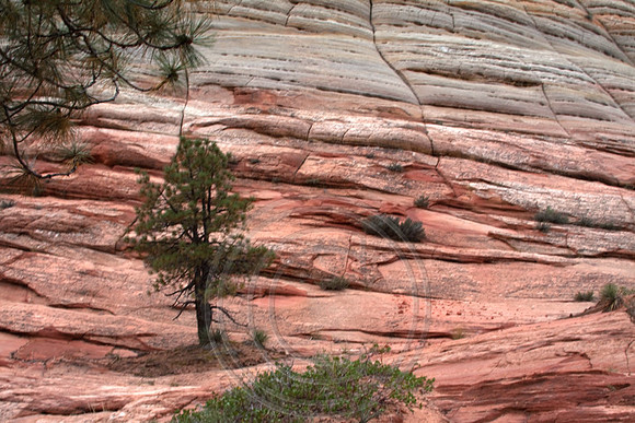Checkerboard Mesa