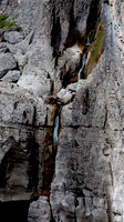 Meadow Creek Gorge Trail