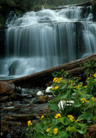Wagner Falls