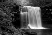 Harrison Wright's Falls