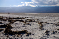 Salt Flats