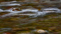 Meadow Creek Late Afternoon