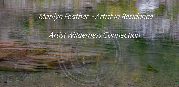 Artitst Wilderness Connection