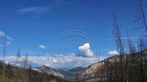 South of Meadow Creek