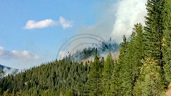 Prescribed Fire Burn