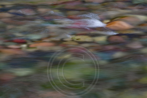 Meadow Creek Slow Motion