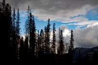 Meadow Creek Before the Storm