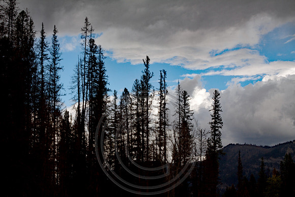 Meadow Creek Before the Storm