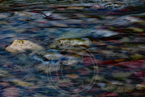 Meadow Creek Dog Rock - 1