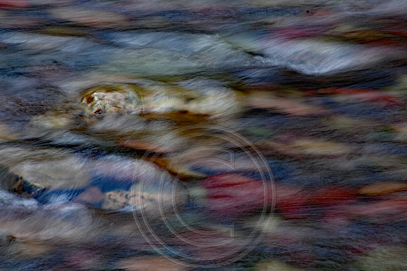 Meadow Creek - Dog Rock 2
