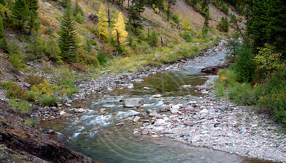 Spotted Bear River