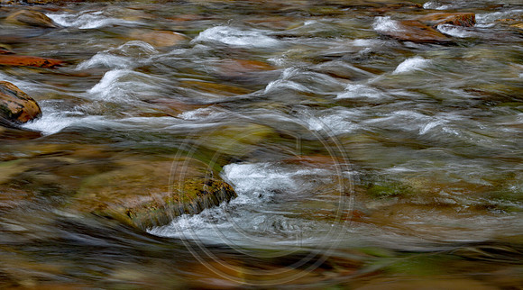 Spotted Bear River Upclose
