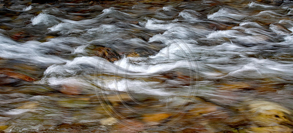 Spotted Bear River Current