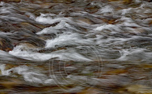 Spotted Bear River  In the Afternoon