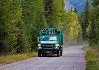 Trail Horse Transportation to Bruce Mountain
