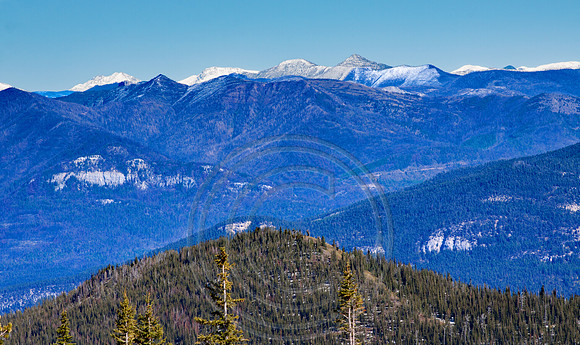 Bruce Ridge View