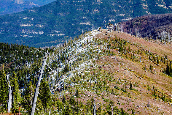 Bruce Ridge Mountain Top