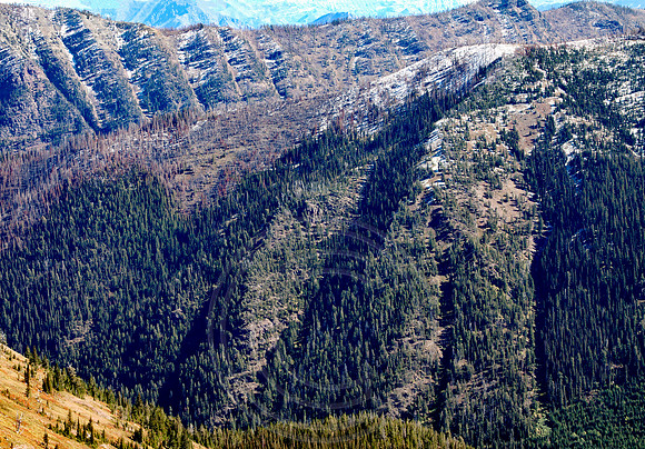 Bruce Ridge - Facing South