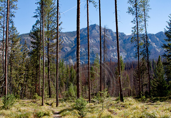 Trailhead Meadow Creek