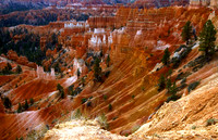 Bryce Queen's Garden