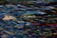 Meadow Creek Dog Rock - 1