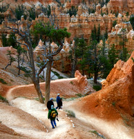 Queen's Garden Hikers