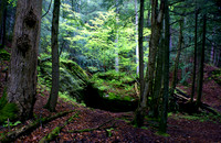Hocking Hills, Ohio May 2013