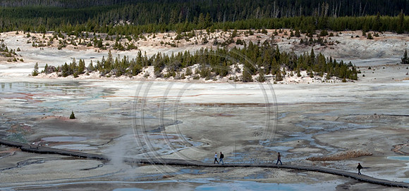 Norris Geyser Basin