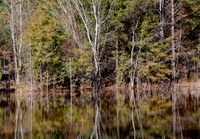 _MG_1205
