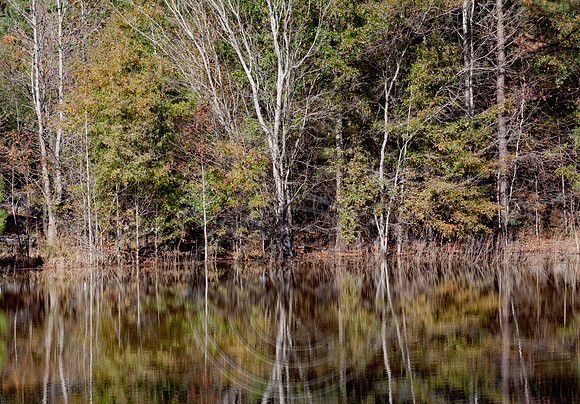 _MG_1205