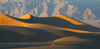 Mesquite Sand Dunes #2