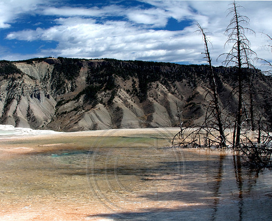 Mammoth Springs