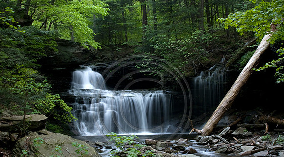 R.B. Rickett's Falls