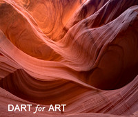 2019 Dart for Art