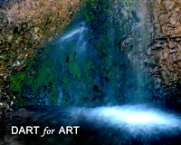 2019 Dart for Art