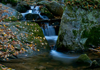 Warren Falls