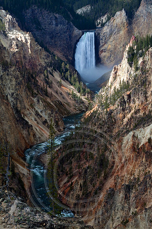 Yellowstone Falls