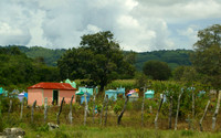 Cemetery