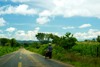 Road to Palenque #2