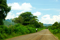 Road to Palenque