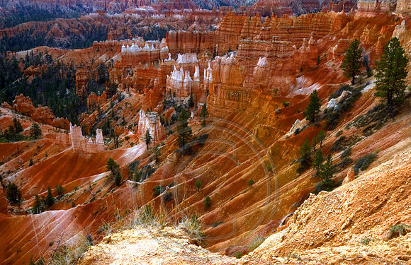 Bryce Queen's Garden