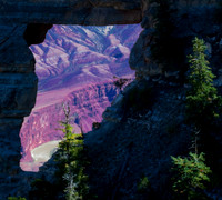 Window at North Rim, Grand Canyon