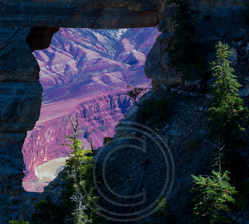 Window at North Rim, Grand Canyon