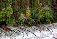 Middle Creek