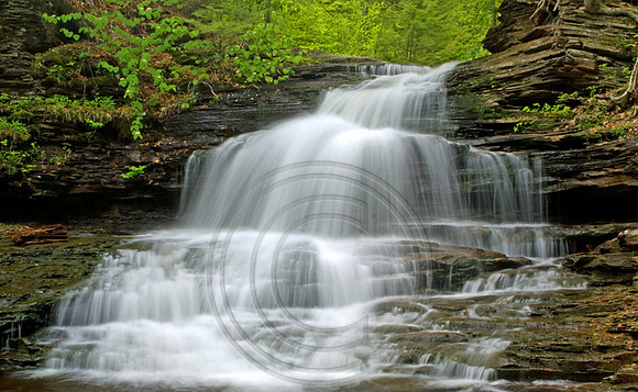 Onondaga Falls #1